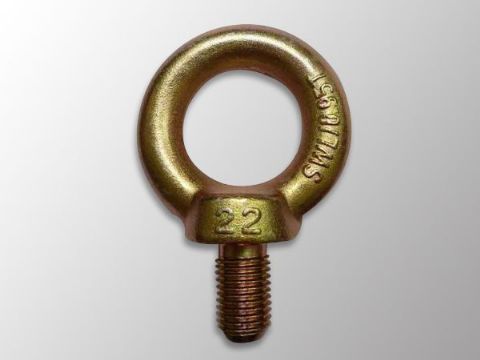 點擊查看詳細信息<br>標題：DIN580 Eye Bolt 閱讀次數：1373