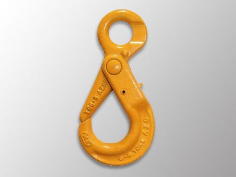 點擊查看詳細信息<br>標題：自鎖鉤 閱讀次數(shù)：1784