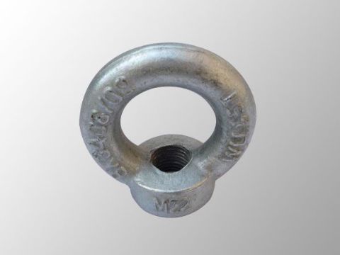 點(diǎn)擊查看詳細(xì)信息<br>標(biāo)題：吊環(huán)螺母 閱讀次數(shù)：2964