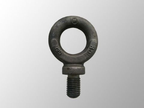 點(diǎn)擊查看詳細(xì)信息<br>標(biāo)題：吊環(huán)螺栓 閱讀次數(shù)：2951